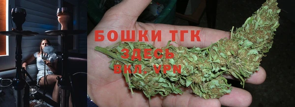 молекула духа Алексеевка