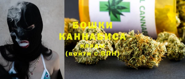 ПСИЛОЦИБИНОВЫЕ ГРИБЫ Алзамай