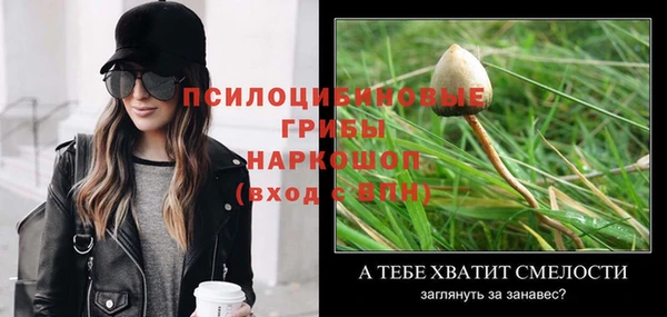 ПСИЛОЦИБИНОВЫЕ ГРИБЫ Алзамай