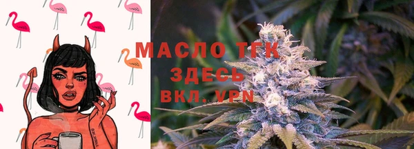 молекула духа Алексеевка